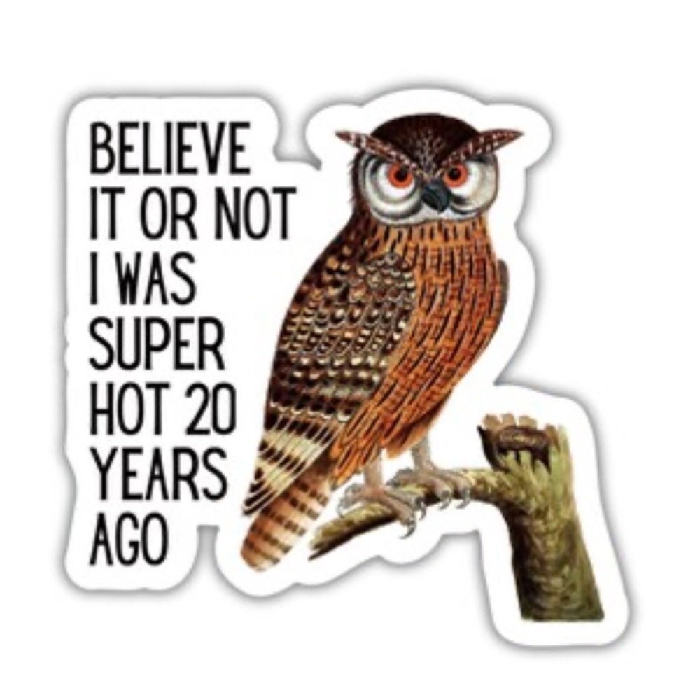 Believe It or Not I was Super Hot Owl Vinyl Sticker, NEW 🦉🔥